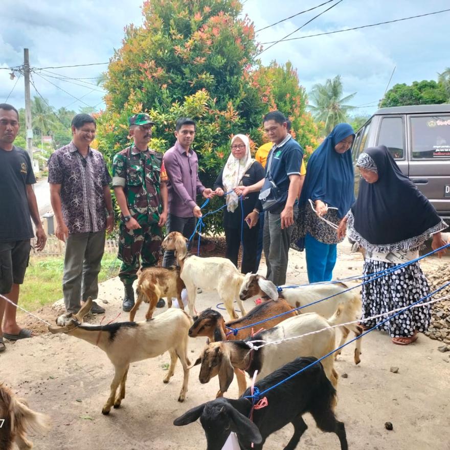 Bantuan Ternak Kambing untuk Keluarga Kurang Mampu 